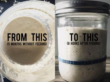 Why is There Liquid on Top My Starter? – Knead Rise Bake