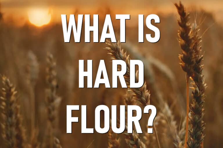 what-is-hard-flour-knead-rise-bake