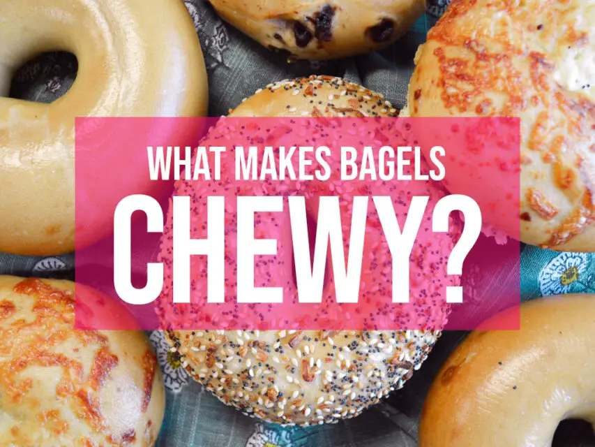 What Makes a Bagel Chewy? Knead Rise Bake